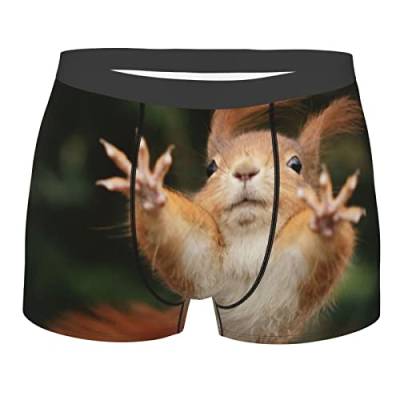 AOOEDM Eichhörnchen lustige Tier Herren Boxershorts Unterhose, Bedruckte weiche Herrenunterwäsche, bequemer, atmungsaktiver kurzer Trunk von AOOEDM