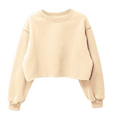 Amazhiyu Damen Cropped Sweatshirt Pullover Fleece Cropped Hoodie Lange Ärmel Casual Crop Top für Herbst Winter, Beige Apricot, 36 von Amazhiyu