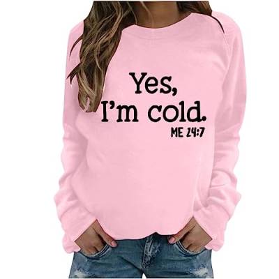 Sweatshirts für Damen Pullover Y2k Basic Langarmshirt Vintage Teenager Pullov Locker Oberteil ohne KapuzeLeichte Outdoor Fleece Outwear Kawaii 2023 Taillierte Outfits Freizeit Pulli Shirts von Awrvia