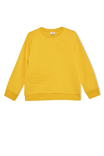 DeFacto Boy's X9713A6 Sweatshirt, Yellow, 6/7 Y von DeFacto