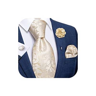 DiBanGu Krawatten-Set aus Seide, gewebtes Taschentuch, Herren-Krawatte und Anstecknadel, Paisleymuster, solide Blumen, Beige Paisley, Einheitsgröße von DiBanGu