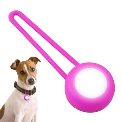 Dyeulget Hundehalsband-Lichter, LED-Hundehalsband-Sicherheits-Nachtlicht-Anhänger, helles Hundelicht, Haustierbedarf, hohe Sichtbarkeit, Nacht-Hundespaziergänge, Blitzlicht für nächtliches von Dyeulget