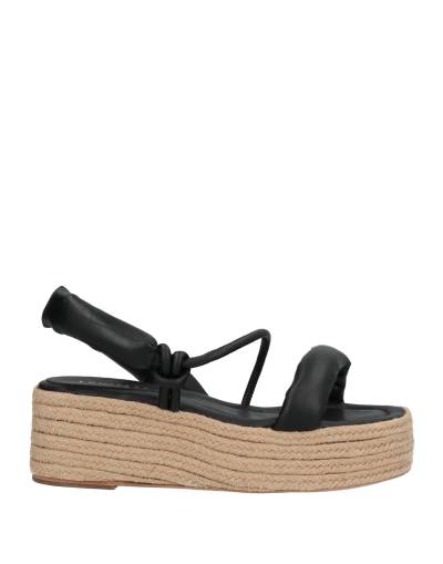 EQUITARE Espadrilles Damen Schwarz von EQUITARE