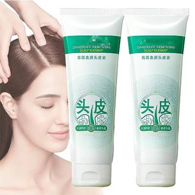 Anti-Dandruff Artemisia Conditioner, Maigoole Artemisia Hair Lotion,Scalp Scrub,Smoothie Texture Dry Scalp Shampoo,Moisturizing Care Clean the Scalp,Japanese Shampoo for Women Men (2pcs) von Endxedio