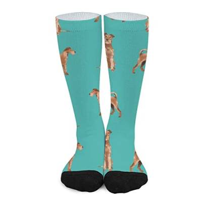 Lsjuee Unisex-Neuheit-Crew-Socken, Irish Terrier-Hunderasse, mittlere Wade, Kleidersocken, Sportsocken, kniehoch, sportlich, lange Röhrenstrümpfe für Mädchen und Frauen von Lsjuee