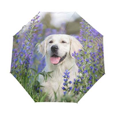My Daily Golden Retriever Reise-Regenschirm mit Blumen-Motiv, automatisches Öffnen/Schließen, leicht, kompakt, winddicht von My Daily