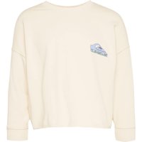 Sweatshirt von Quiksilver