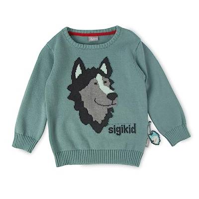 sigikid Mini Jungen Pullover Polar Expedition von Sigikid