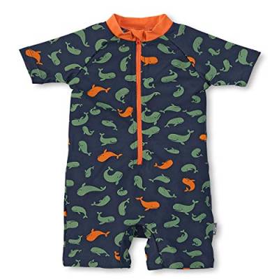 Sterntaler Baby - Jungen Schwimmanzug Wale Badeanzug, Marine, 104 von Sterntaler