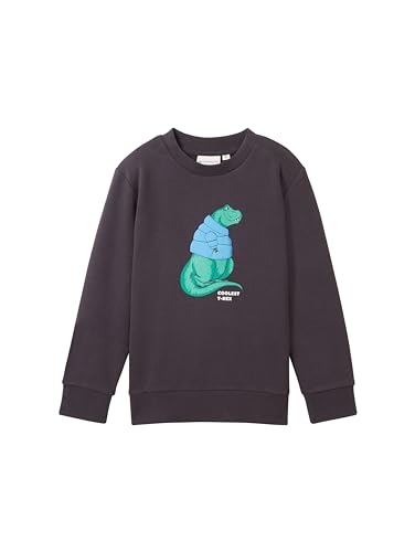 TOM TAILOR Jungen Kinder Sweatshirt mit Dinosaurier-Print , coal grey, 116/122 von TOM TAILOR