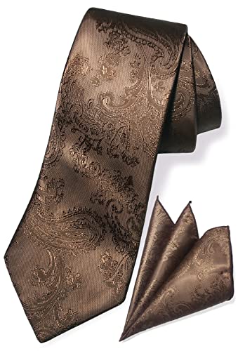 TaecMin Herren-Krawatten, solide Krawatten für Herren, Paisley-Krawatten und Einstecktuch, Set mit Blumen-Anstecknadeln für Hochzeiten, B-brown, Einheitsgröße von TaecMin
