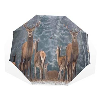 Regenschirm Winter Wald Baum Hirsch Tier Winddicht 3 Falten Regenschirm für Damen Herren Mädchen Jungen Unisex Ultraleicht Outdoor Reise Kompakter Regenschirm von TropicalLife