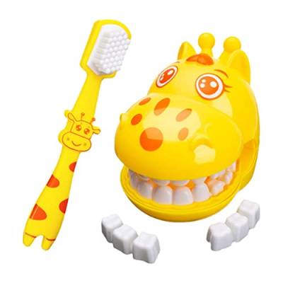 2 Stück Spielzeug Modell der Zähne – Modell der Zähne, zum Zähneputzen von Giraffe, Zahnwerkzeug für Kinder, Homeschool Lernspielzeug für Kleinkinder von Unbekannt