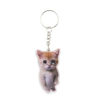 Banana Cat Happy Cat Cute Funny Key Pendant Key Chain, Novelty Crying Banana Cat Keychain, Banana Pendant for Women Men von generic