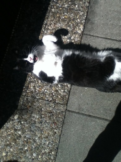 noch eins von meiner mitzee *-* noch eins von meiner mitzee *-*