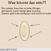 Kommis