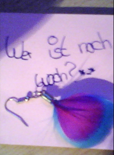 Wie ist der Ohrring? *-* Ich hab schon so wleche wer will sie? <3
