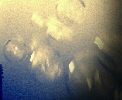 Ich bin ca. 1. 54m. groß und wiege 50 kg was meint ihr : zu viel?