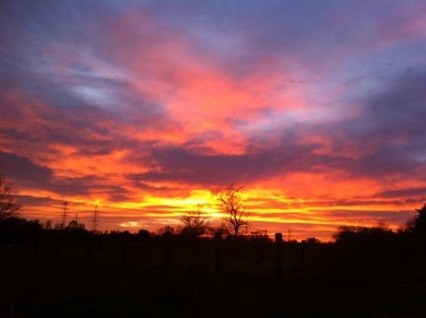 Winter-Sonnenuntergang <3