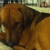 süß oder süß?!;**