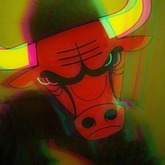 3d chikago bulls