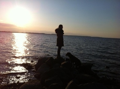 sorry bild passt nicht aber ich will mir immer einen dut machen aber meine haare sind zu dick :/ kann man das mit so einem haardonat von H&M machen ?
wie macht ihr das mit dicken und vielen haaren ?