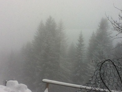 Hey was sind denn zur zeit so Must haves? und wo gibt's die? ich geh am Freitag shoppen und da wollte ich euch um Hilfe bitten :)