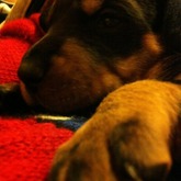 Mein Schatz❤