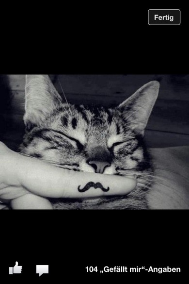 folgt mir auf instagramm mischi96 ich folge eich auch zurüch folgt mir auf instagramm mischi96 ich folge eich auch zurüch