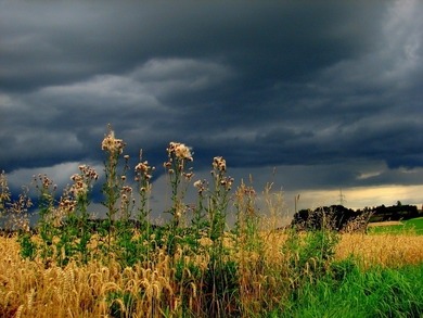 Das wärs dann jetzt....mit Sommer...
Gewitter, Regen, Hagel, dunkle Wolken.... Das wärs dann jetzt....mit Sommer...
Gewitter, Regen, Hagel, dunkle Wolken....