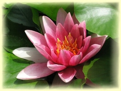 Der Tag,                                                              
An dem ich unsere Freundschaft für immer vergesse,                                              
Ist der Tag,                                                         
An dem ich meine Augen für immer schließe.                                                             
Doch selbst dann, wirst du für immer in meinem Herzen bleiben.                                
Das war immer unser Motto, und ich weiß, dass ich in deinem Herzen bin.
Ich werde dich niemals vergessen.