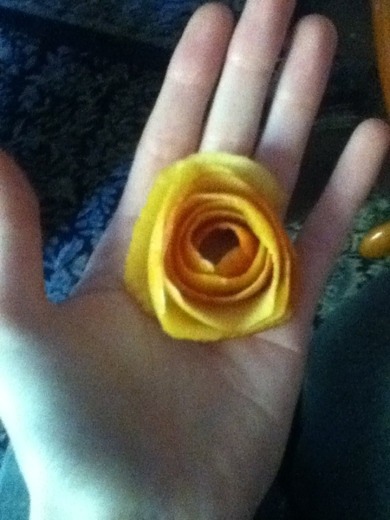 na was ist das wohl für eine rose?