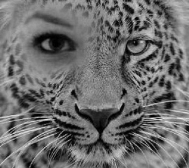 Langeweile :P Langeweile :P