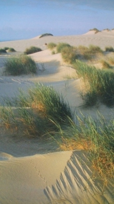 Noch ein Bild von mir ;)