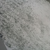 schneeee! es wird immer mehr..! ...sry wegen der schlechten quali...