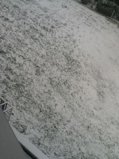schneeee! es wird immer mehr..! ...sry wegen der schlechten quali... schneeee! es wird immer mehr..! ...sry wegen der schlechten quali...