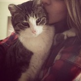 Love my cat.