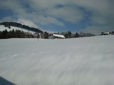 wer hat auch so viel schnee?? :)))