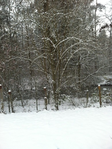Schnee? | Liiiebe ich:Love | Neiin!!!! : Hate|