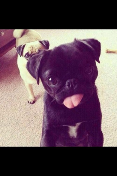 süess*_* süess*_*