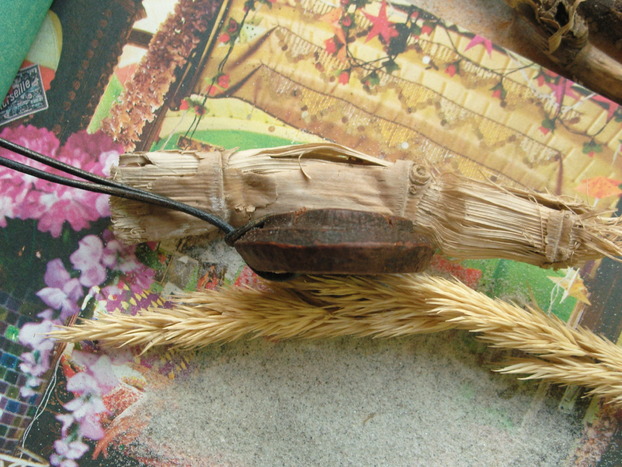 Eucalyptus Frucht Schmuck Anhänger mit 1 Tigerauge Eucalyptus Frucht Schmuck Anhänger mit 1 Tigerauge