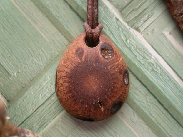 Banksia Zapfen Holzschmuck Anhänger Unikat Banksia Zapfen Holzschmuck Anhänger Unikat