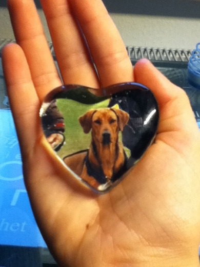 1. Geschenk im Adventskalender   mein Hundi:)