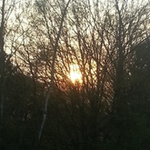 Wie findet ihr das Bild? ;)