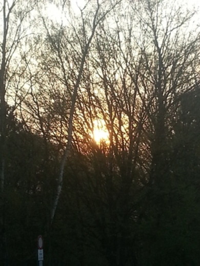 Wie findet ihr das Bild? ;)