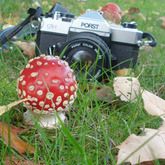 Besucht mich auf:
http://leoloewnherz.blogspot.de/