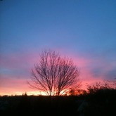 Lila Wolken*-*