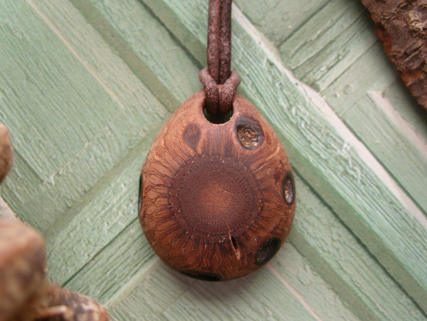 Banksia Zapfen Holzschmuck Anhänger Unikat