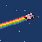 wer kennt die katze?