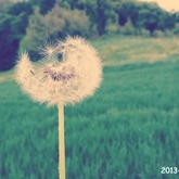 Kennt ihr coole Apps?;*♥